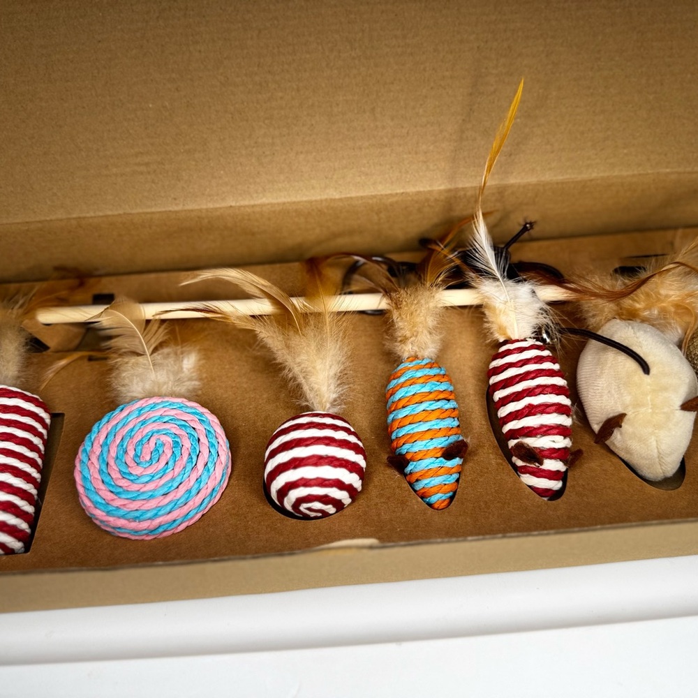 Colorful Cat Toy Set with Feathers